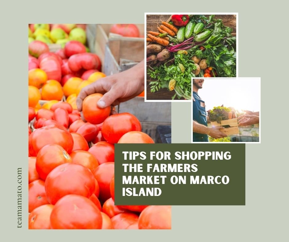 Tips for Shopping the Farmers Market on Marco Island