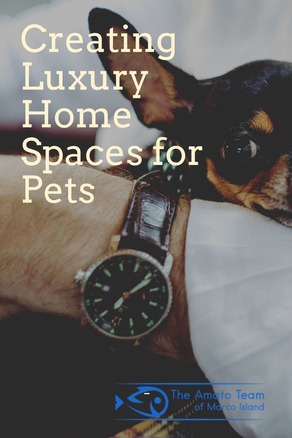 Creating Luxury Home Spaces for Pets