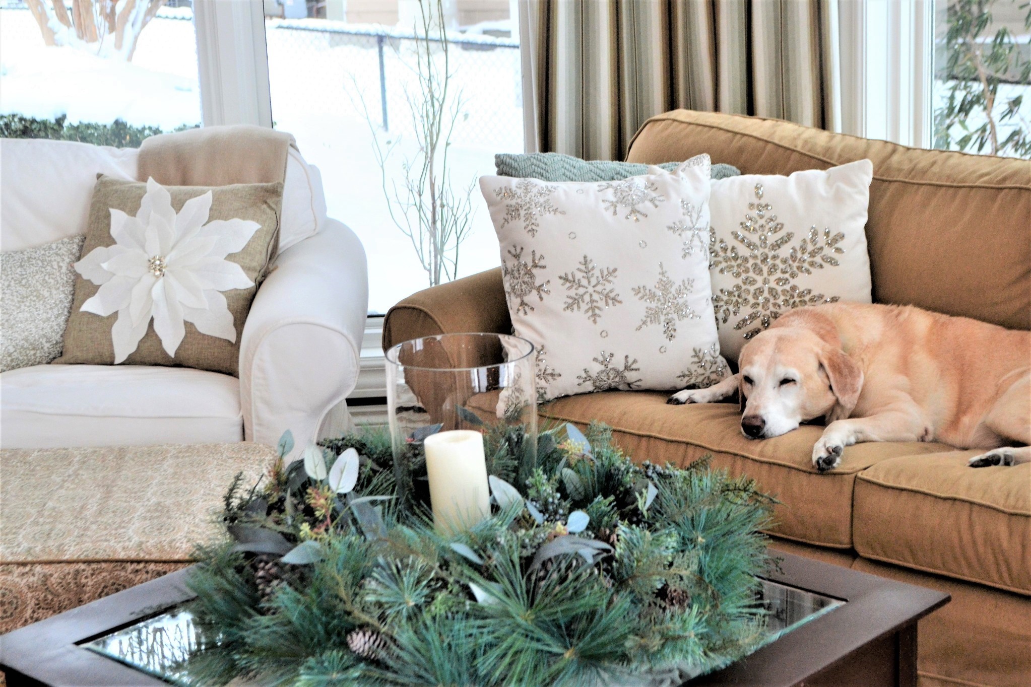 Creating Luxury Home Spaces for Pets